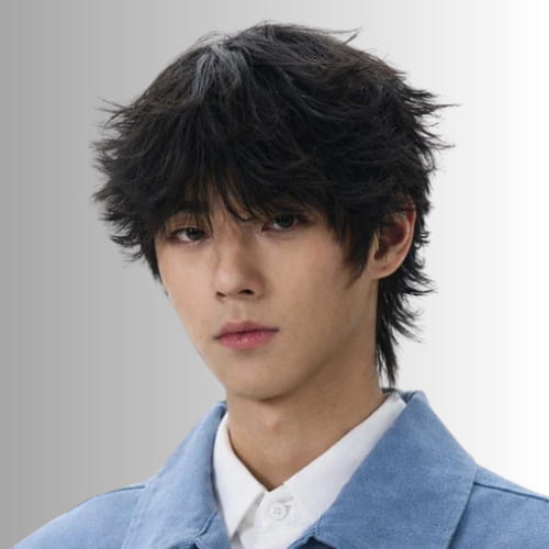 Korean Mod Cut