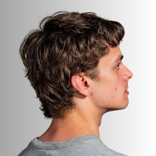 Mod Mullet Cut