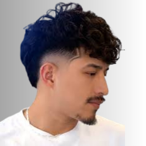Burst Fade Mastery Hairstyle