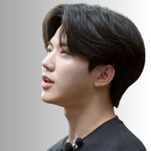 Classic Flow Hairstyle