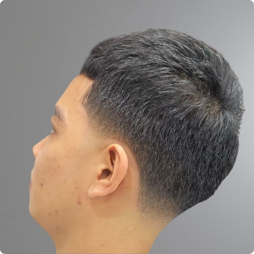 Crop Top Mid Taper Fade