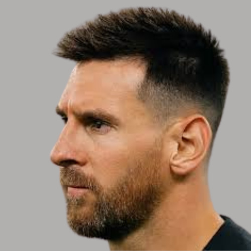 Plate Presence Hair Haircut