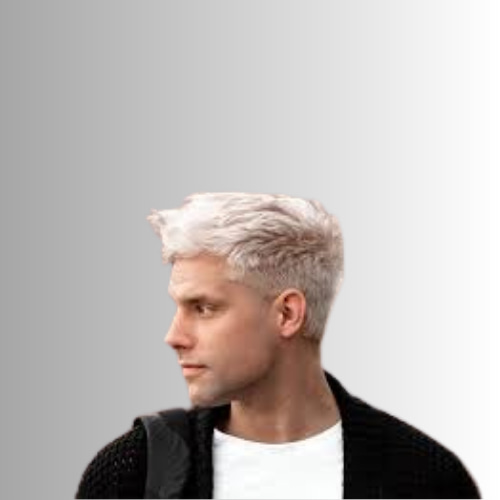 Platinum Fullness Amplified Hairstyle