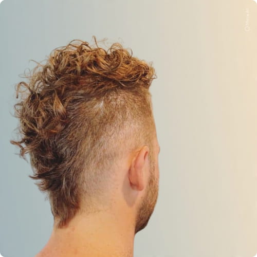 Shaggy Faux Hawk