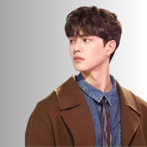 Smooth K-Pop Haircut
