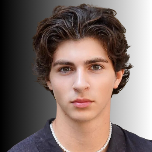 Wavy Edgar Flow Hairstyle